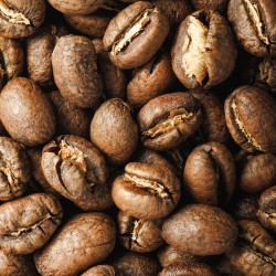 Café de Especialidade do Quénia, Colina Vermelha 2